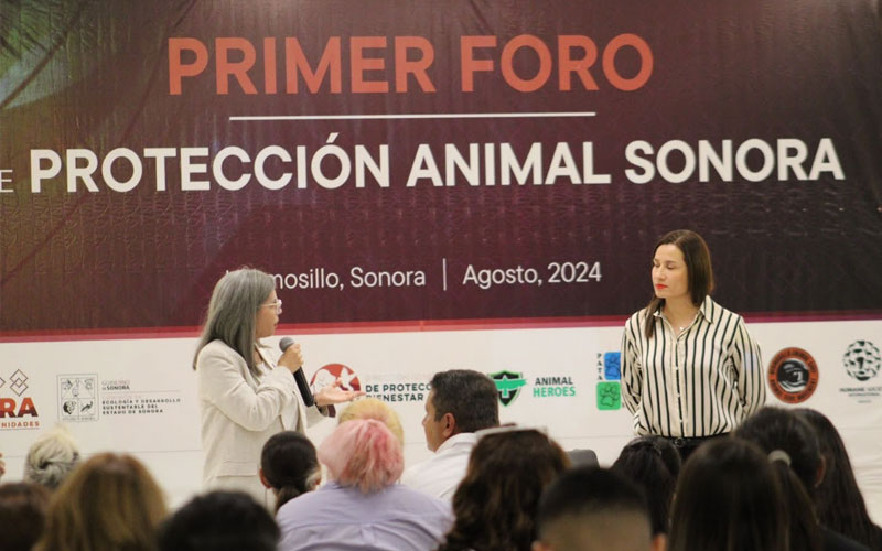 Sonora inaugura el Primer Foro de Protección Animal para impulsar ...
